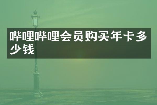 哔哩哔哩会员购买年卡多少钱