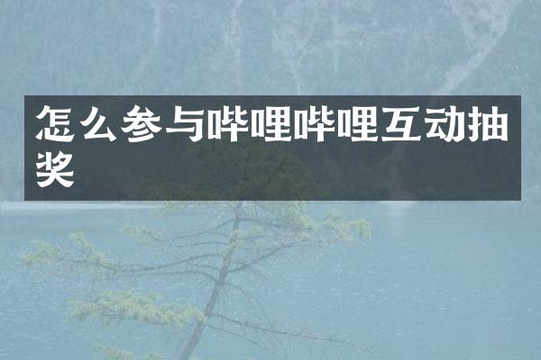 怎么参与哔哩哔哩互动抽奖