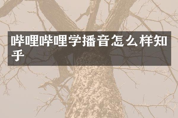 哔哩哔哩学播音怎么样知乎