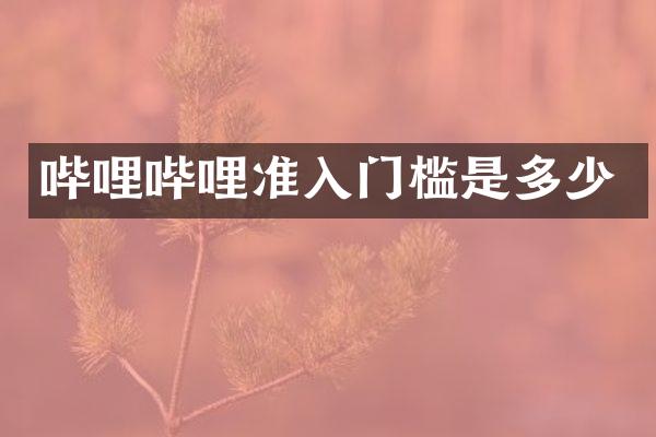 哔哩哔哩准入门槛是多少
