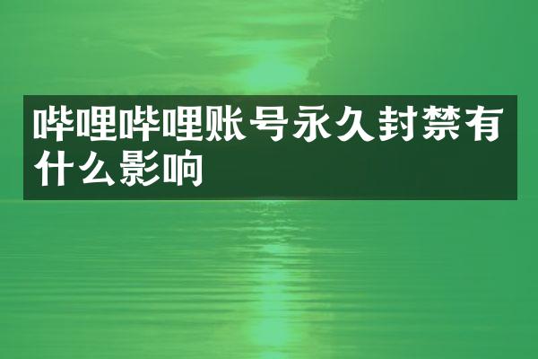 哔哩哔哩账号永久封禁有什么影响