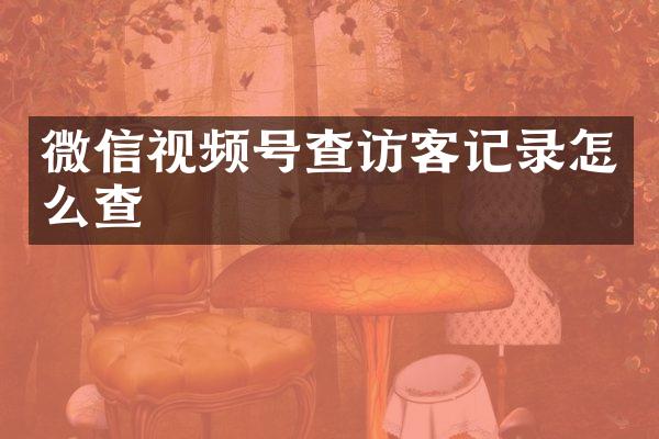 微信视频号查访客记录怎么查