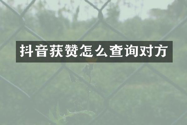 抖音获赞怎么查询对方