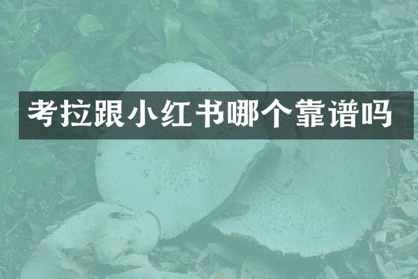 考拉跟小红书哪个靠谱吗