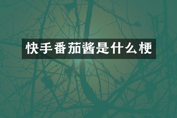 快手番茄酱是什么梗