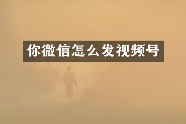 你微信怎么发视频号
