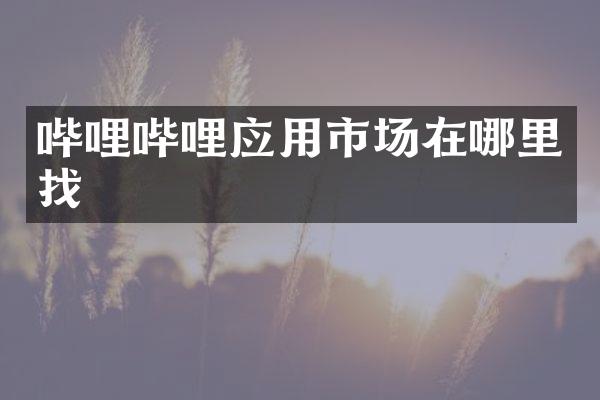 哔哩哔哩应用市场在哪里找