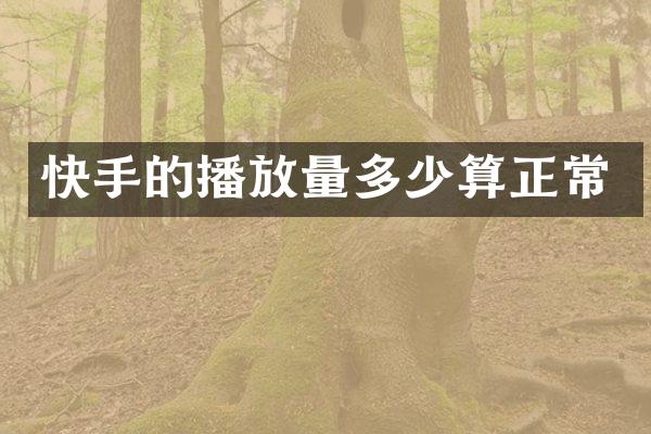 快手的播放量多少算正常