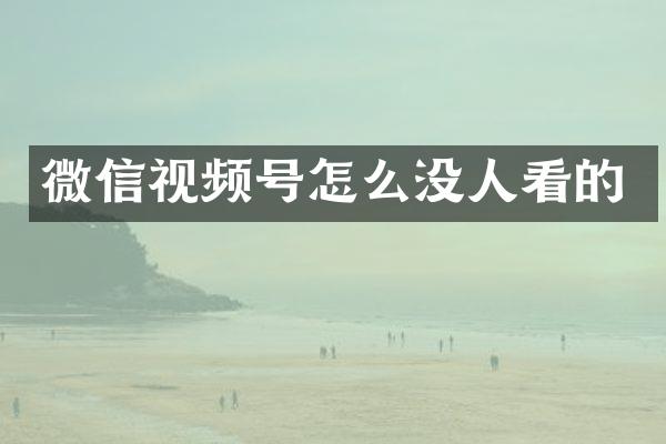 微信视频号怎么没人看的