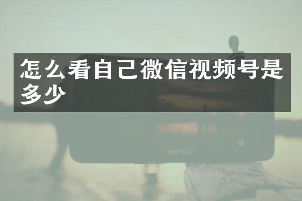 怎么看自己微信视频号是多少