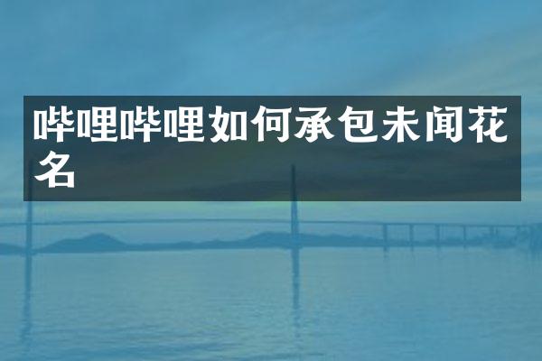 哔哩哔哩如何承包未闻花名