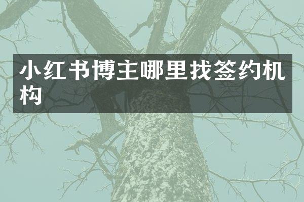 小红书博主哪里找签约机构