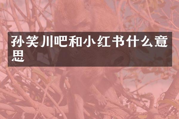 孙笑川吧和小红书什么意思