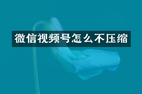 微信视频号怎么不压缩