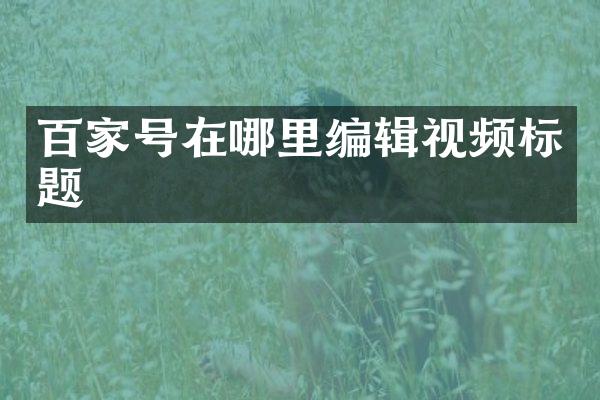 百家号在哪里编辑视频标题