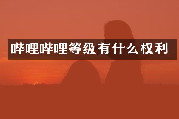 哔哩哔哩等级有什么权利