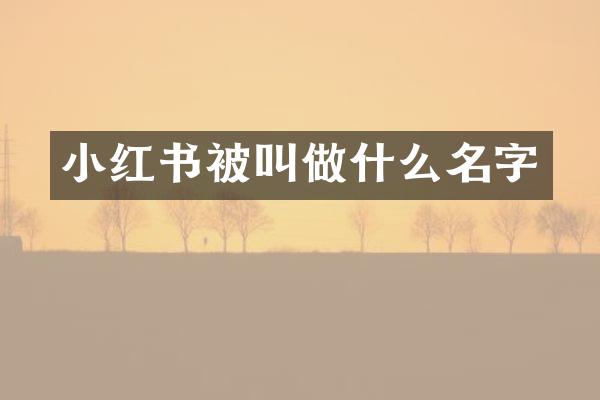 小红书被叫做什么名字