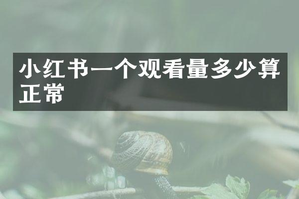 小红书一个观看量多少算正常