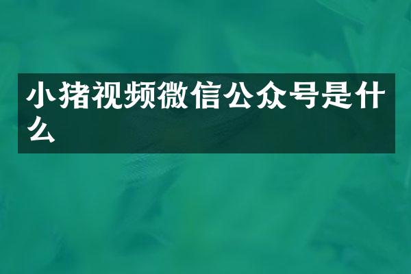 小猪视频微信公众号是什么
