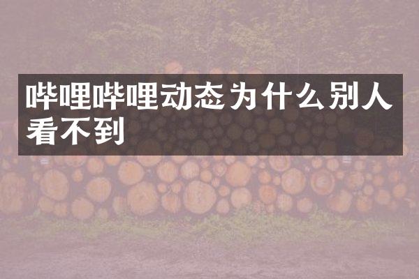 哔哩哔哩动态为什么别人看不到