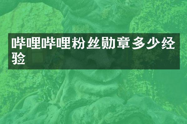 哔哩哔哩粉丝勋章多少经验