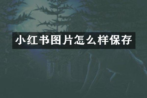 小红书图片怎么样保存