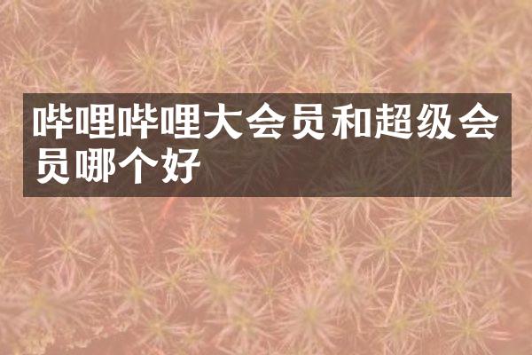 哔哩哔哩大会员和超级会员哪个好