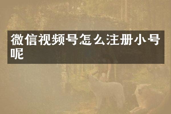 微信视频号怎么注册小号呢
