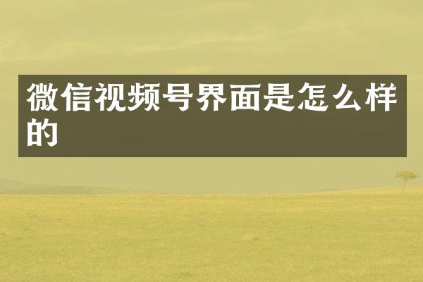 微信视频号界面是怎么样的