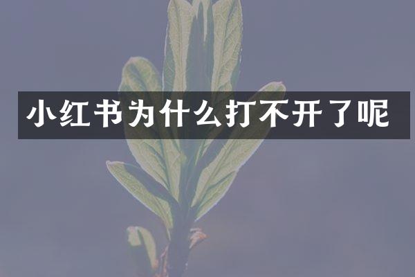 小红书为什么打不开了呢