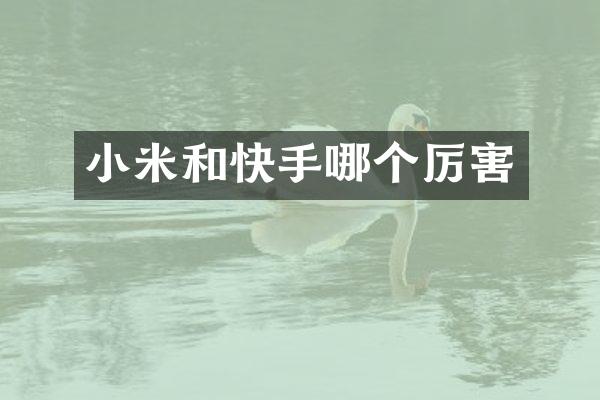 小米和快手哪个厉害