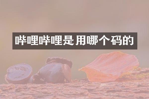 哔哩哔哩是用哪个码的
