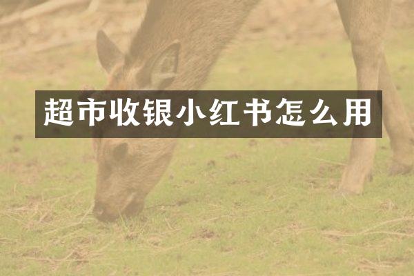 超市收银小红书怎么用