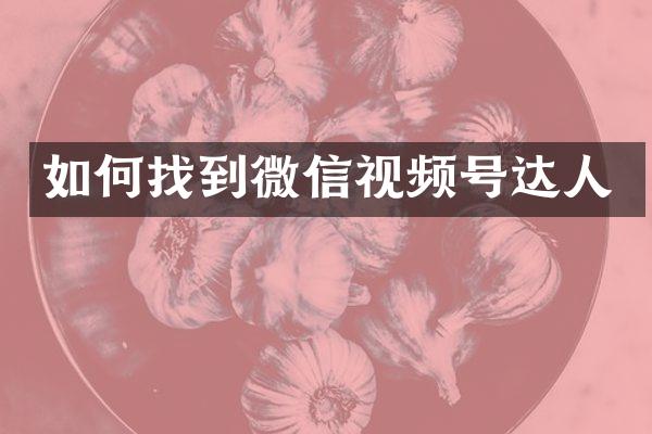 如何找到微信视频号达人
