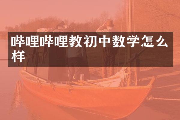 哔哩哔哩教初中数学怎么样