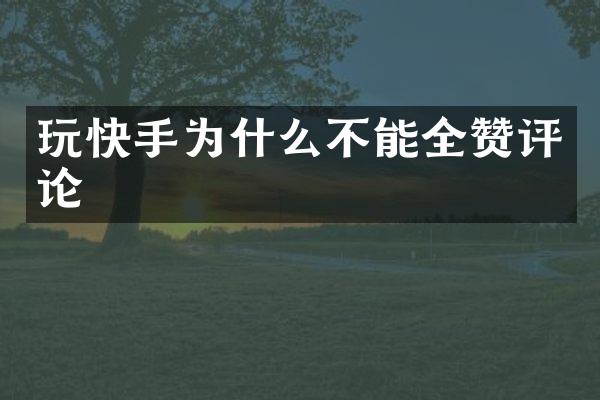 玩快手为什么不能全赞评论