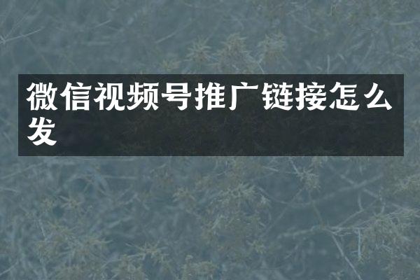 微信视频号推广链接怎么发