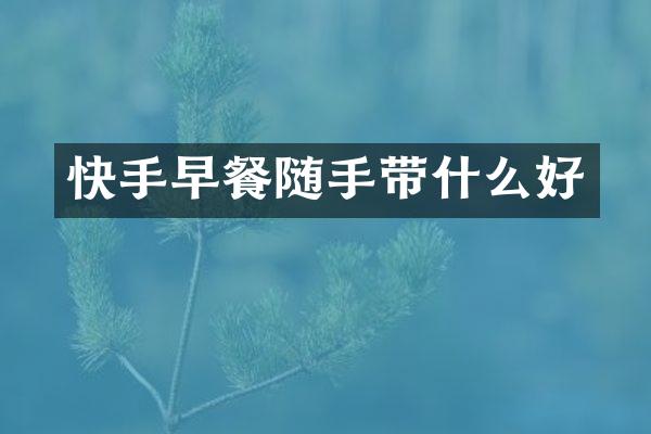 快手早餐随手带什么好