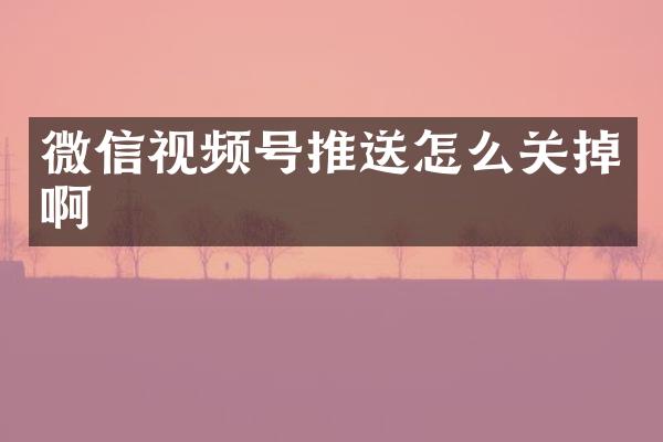 微信视频号推送怎么关掉啊