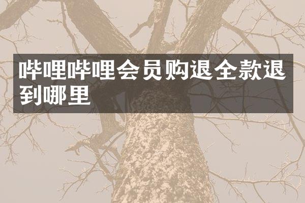哔哩哔哩会员购退全款退到哪里