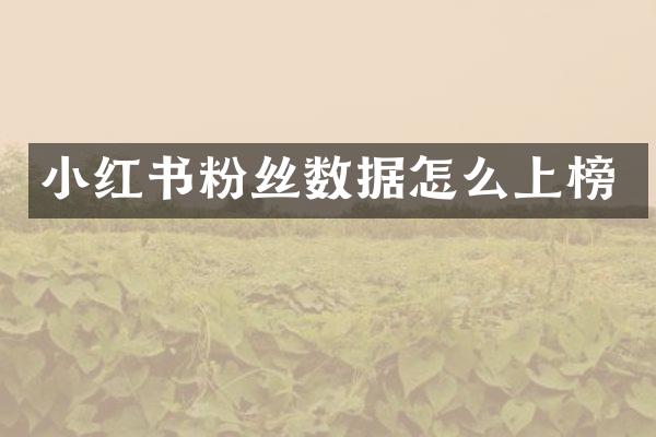小红书粉丝数据怎么上榜