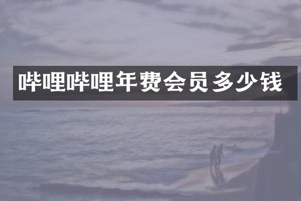 哔哩哔哩年费会员多少钱