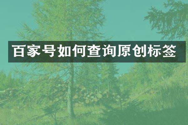 百家号如何查询原创标签