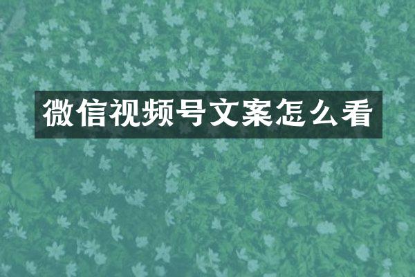 微信视频号文案怎么看