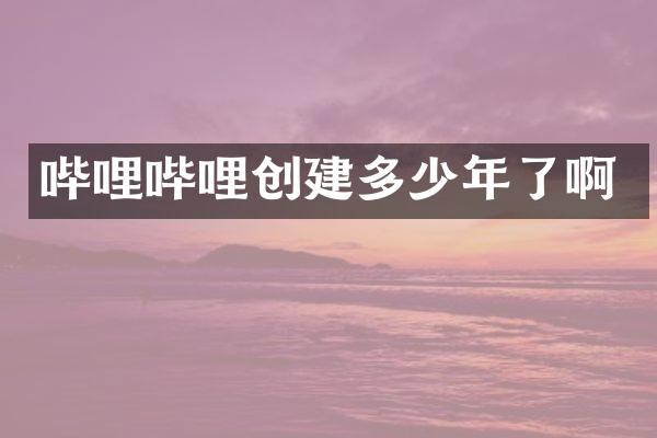 哔哩哔哩创建多少年了啊