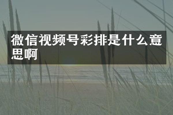 微信视频号彩排是什么意思啊