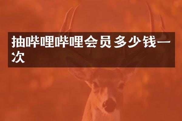 抽哔哩哔哩会员多少钱一次