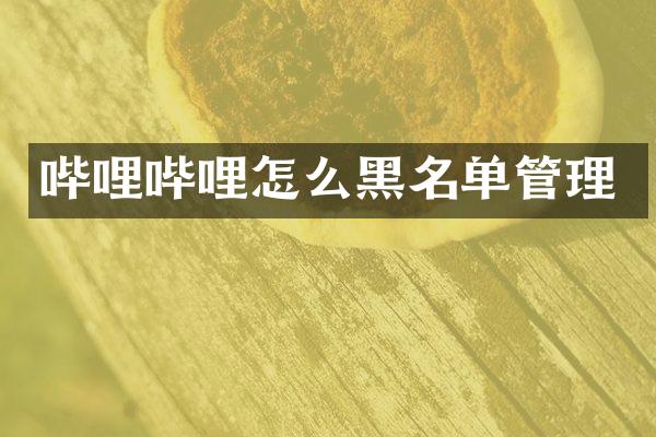 哔哩哔哩怎么黑名单管理