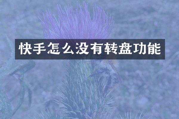快手怎么没有转盘功能
