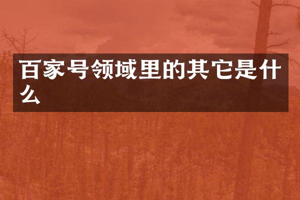 百家号领域里的其它是什么